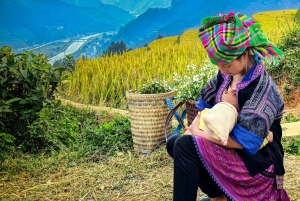 Från Hanoi: 2-dagars Mu Cang Chai- och Khau Pha Pass-tur