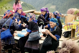 Från Hanoi: 2-dagars Mu Cang Chai- och Khau Pha Pass-tur
