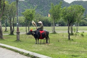 Från Hanoi: 2-dagars Ninh Binh-tur med boende och måltider