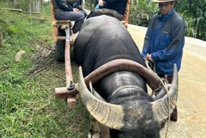 Hanoi: 2 päivän Pu Luong -retki – vaellus, bamburafting