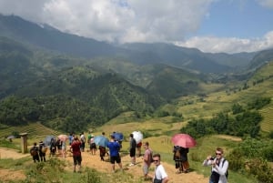 De Hanói: excursão de 2 dias em casa de família étnica em Sa Pa com trekking