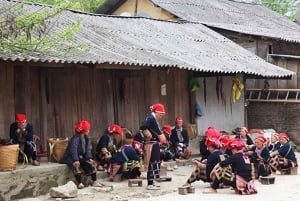 Z Hanoi: 2-dniowa wycieczka do etnicznej wioski Sa Pa z trekkingiem