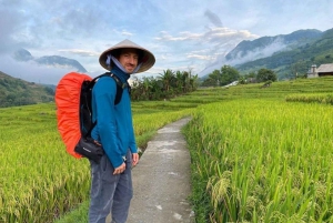 Da Hanoi Tour di 2 giorni in famiglia etnica di Sa Pa con trekking