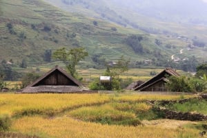 From Hanoi: 2-Day Sapa Cultural Exchange Tour with Homestay