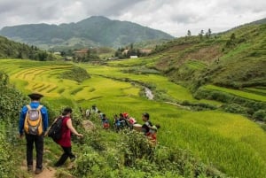 Desde Hanoi: Excursión de Intercambio Cultural de 2 días a Sapa con estancia en familia