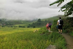 Från Hanoi: 2-dagars Sapa kulturutbytesresa med övernattning