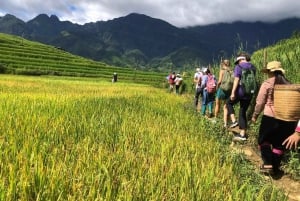 Desde Hanoi: Excursión de Intercambio Cultural de 2 días a Sapa con estancia en familia