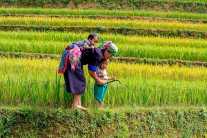 From Hanoi: 2-Day Sapa Cultural Exchange Tour with Homestay