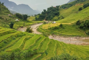 Z Hanoi: 2-dniowa wędrówka po Sapa do Lao Chai, Cat Cat i Fansipan