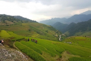 From Hanoi: 2 Day Sapa Trekking To Village & Bungalow