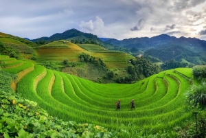 From Hanoi: 2 Day Sapa Trekking To Village & Bungalow