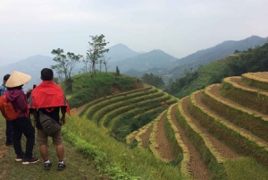 From Hanoi: 2 Day Sapa Trekking To Village & Bungalow