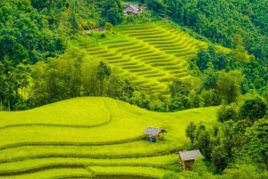 From Hanoi: 2 Day Sapa Trekking To Village & Bungalow