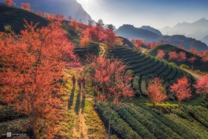 From Hanoi: 2-Day Sapa Trekking Tour with Homestay