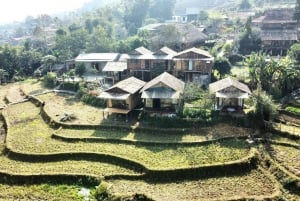 From Hanoi: 2-Day Sapa Trekking Tour with Homestay