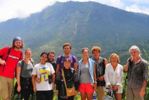 Depuis Hanoï : trekking de 2 jours à Sapa et transfert en limousine