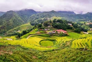 Depuis Hanoi : 2 jours de trek à Sapa - Transfert en limousine de luxe