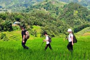 Z Hanoi: 2-dniowa wycieczka Sapa Trek - transfer luksusową limuzyną