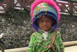 Fra Hanoi: 2-dagers Sapa Trek Tour - Luksus limousintransport