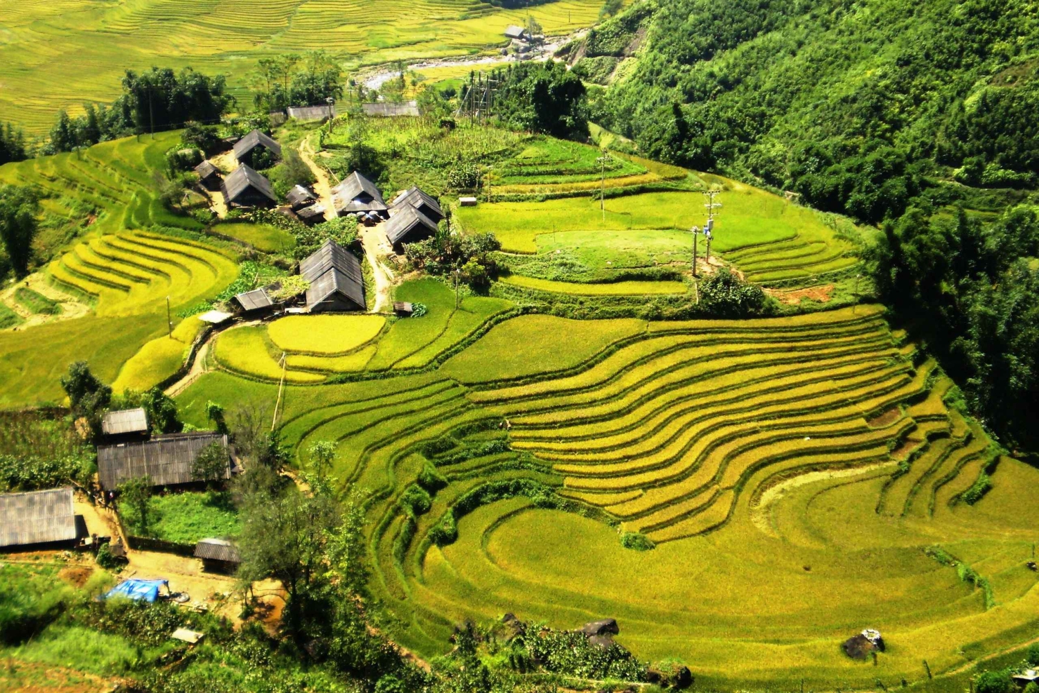 Desde Hanoi: Excursión de senderismo de 2 días a Sapa con alojamiento en familia y comidas