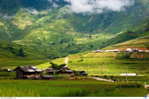 Desde Hanoi: Excursión de senderismo de 2 días a Sapa con alojamiento en familia y comidas