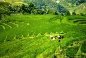 Desde Hanoi: Excursión de senderismo de 2 días a Sapa con alojamiento en familia y comidas