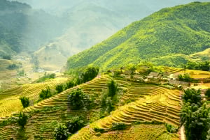 Desde Hanoi: Excursión de senderismo de 2 días a Sapa con alojamiento en familia y comidas