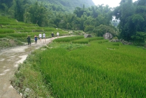 Desde Hanoi: Excursión de senderismo de 2 días a Sapa con alojamiento en familia y comidas