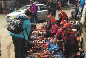 From Hanoi: 2-Day Sapa Trekking Tour with Limousine Transfer