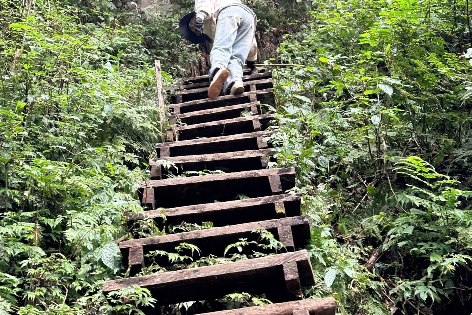 From Hanoi: 2-Day Ta Chi Nhu Trek with Meals & Guide