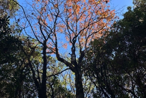 From Hanoi: 2-Day Ta Chi Nhu Trek with Meals & Guide