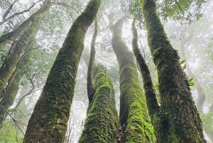 From Hanoi: 2-Day Ta Chi Nhu Trek with Meals & Guide