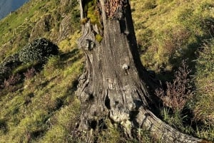 From Hanoi: 2-Day Ta Chi Nhu Trek with Meals & Guide