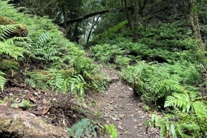 From Hanoi: 2-Day Ta Chi Nhu Trek with Meals & Guide