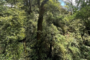 From Hanoi: 2-Day Ta Chi Nhu Trek with Meals & Guide