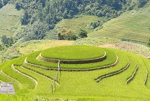 From Hanoi: 2-Day Trekking To Villages In Sapa with Homestay