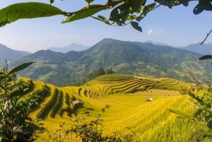 From Hanoi: 2-Day Trekking To Villages In Sapa with Homestay