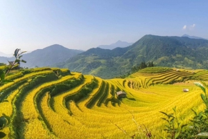 From Hanoi: 2-Day Trekking To Villages In Sapa with Homestay