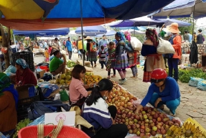 From Hanoi: 2-Day Trekking To Villages In Sapa with Homestay