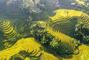 From Hanoi: 2-Day Trekking To Villages In Sapa with Homestay