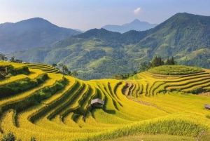 From Hanoi: 2-Day Trekking To Villages In Sapa with Homestay
