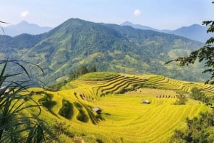 From Hanoi: 2-Day Trekking To Villages In Sapa with Homestay