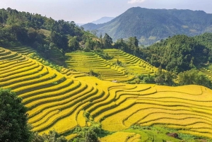 From Hanoi: 2-Day Trekking To Villages In Sapa with Homestay