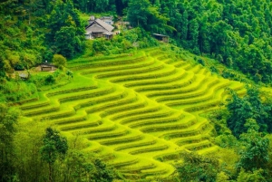 From Hanoi: 2-Day Trekking To Villages In Sapa with Homestay