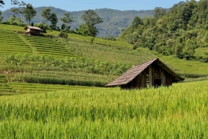 From Hanoi: 2-Day Trekking To Villages In Sapa with Homestay