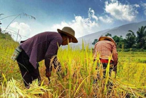 From Hanoi: 2-Day Trekking To Villages In Sapa with Homestay