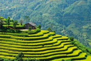 From Hanoi: 2-Day Trekking To Villages In Sapa with Homestay