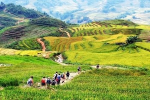 From Hanoi: 2-Day Trekking Tour in Sa Pa with Homestay