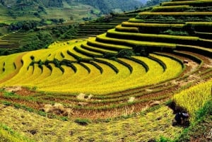 From Hanoi: 2-Day Trekking Tour in Sa Pa with Homestay