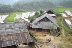 2-Day Trekking Tour in Sa Pa with Homestay by Limousine
